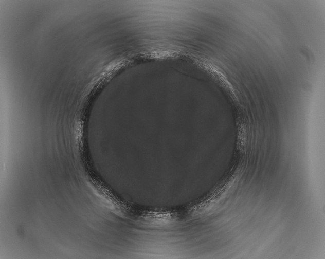 X0000112000260200908311120