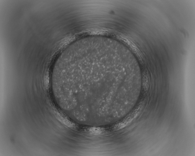 X0000112000261200908311120