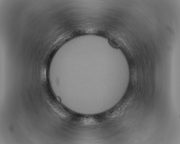 X0000112000262200908311120