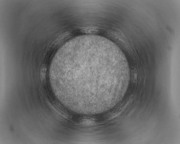 X0000112000263200908311120