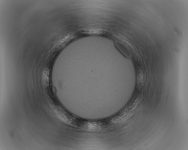 X0000112000264200908311120