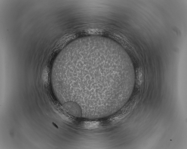 X0000112000266200908311120