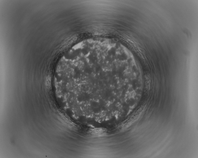 X0000112000269200908311120