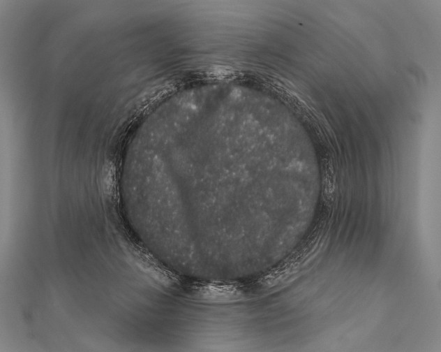 X0000112000270200908311120