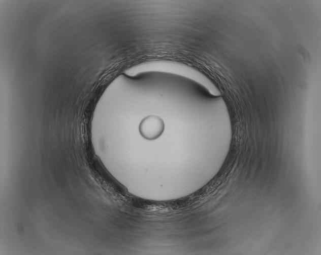 X0000112000272200908311120