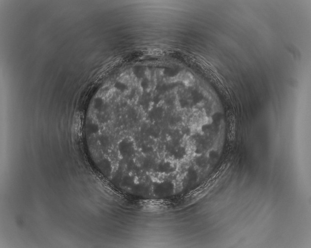 X0000112000273200908311120