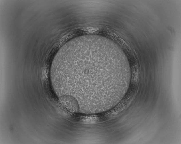 X0000112000274200908311120