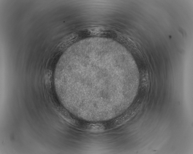 X0000112000275200908311120