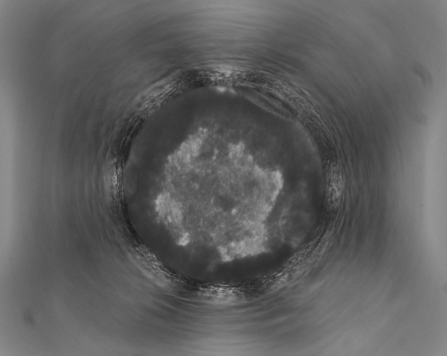 X0000112000276200908311120