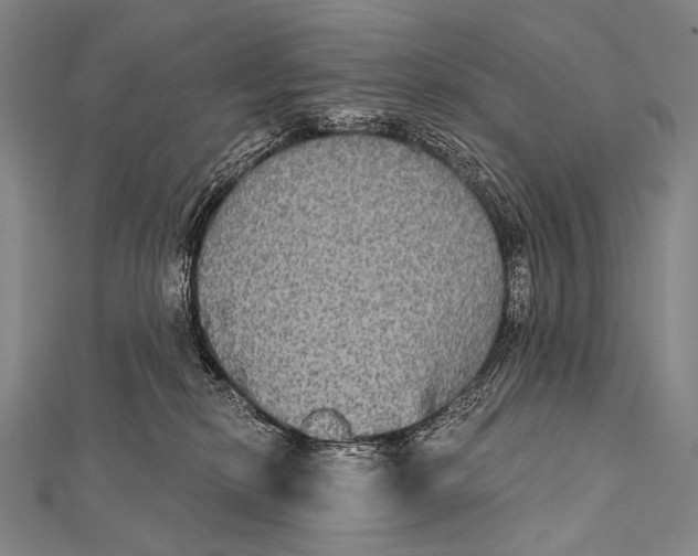 X0000112000278200908311120