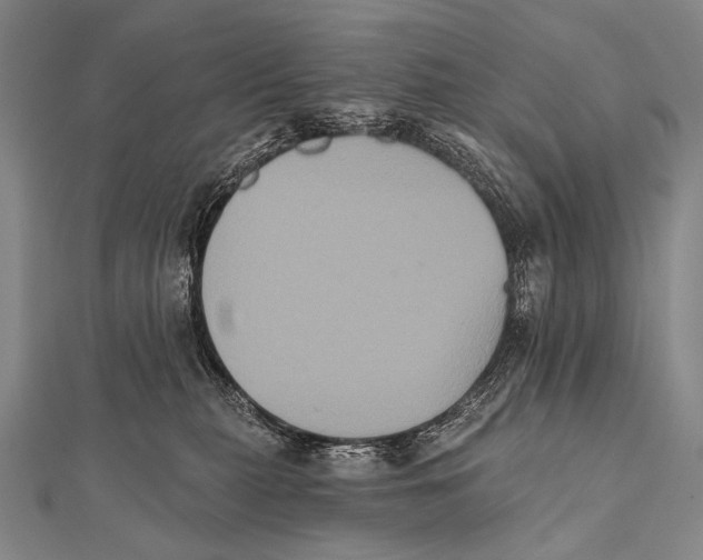 X0000112000279200908311120