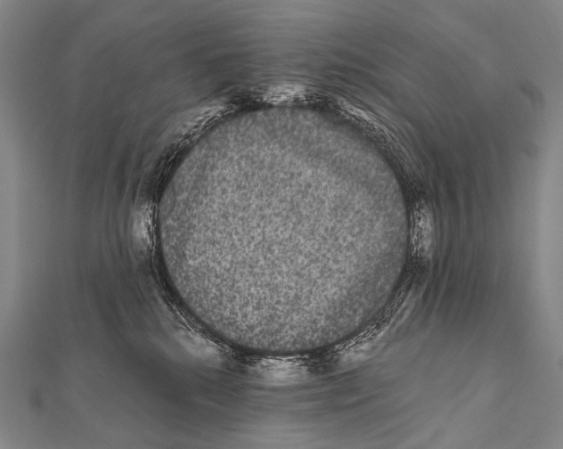 X0000112000280200908311120