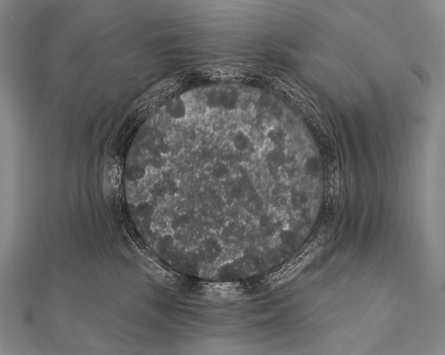 X0000112000281200908311120