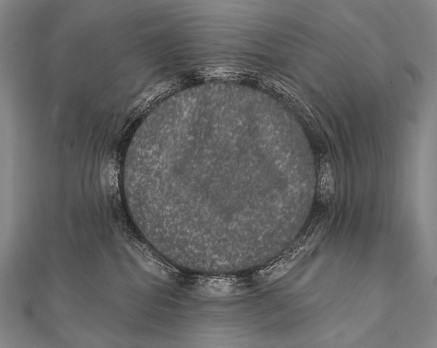 X0000112000282200908311120