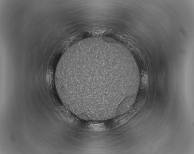 X0000112000283200908311120