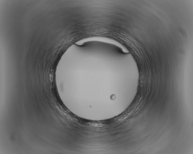 X0000112000284200908311120