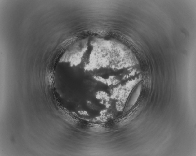 X0000112000285200908311120