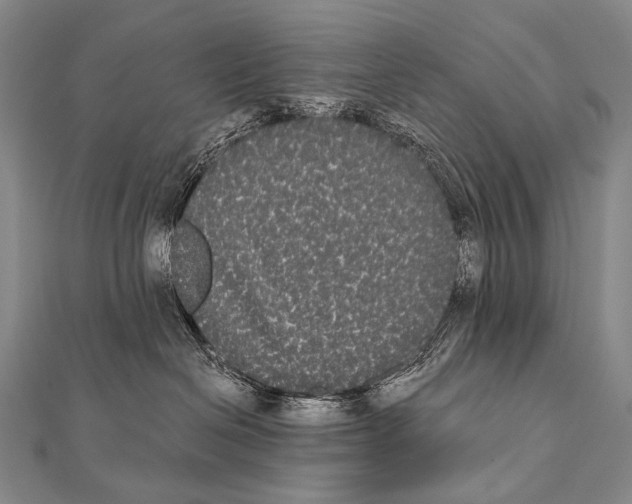 X0000112000286200908311120