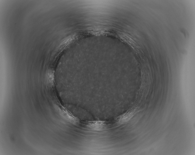 X0000112000288200908311120