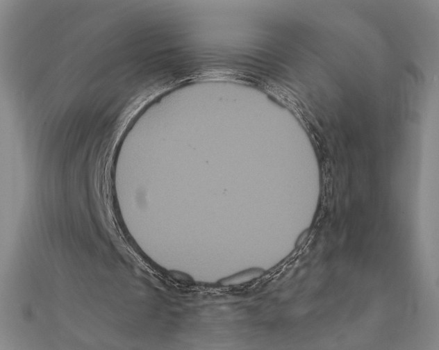 X0000112000289200908311120