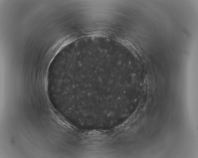 X0000112000290200908311120