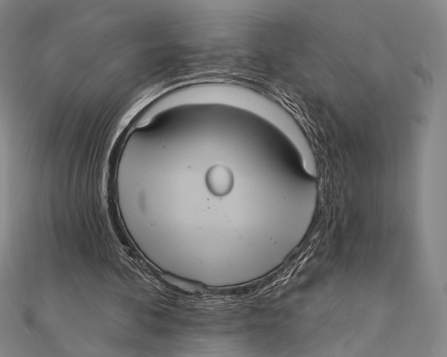 X0000112000292200908311120