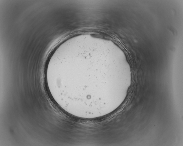 X0000112000293200908311120