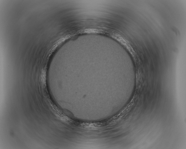 X0000112000297200908311120