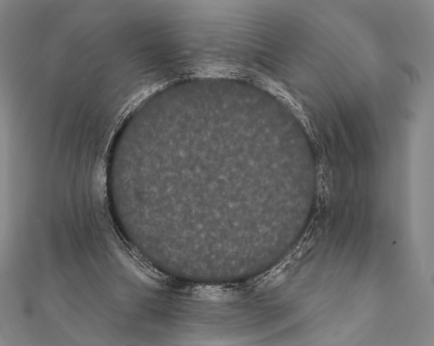 X0000112000298200908311120