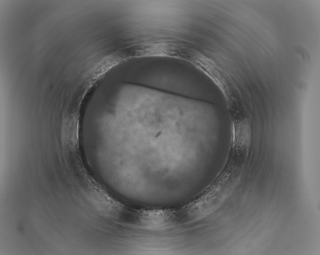 X0000112000301200908311119