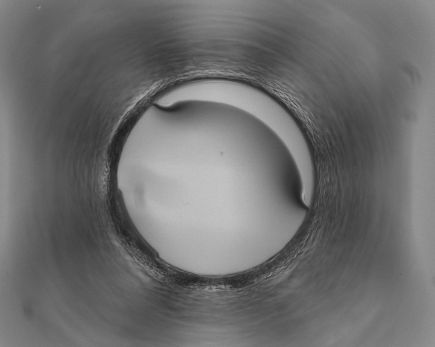 X0000112000304200908311119