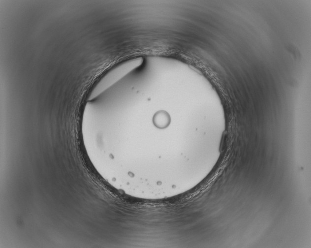 X0000112000305200908311119