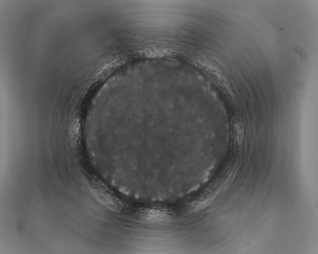 X0000112000308200908311119