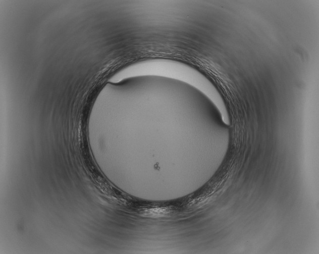 X0000112000312200908311119