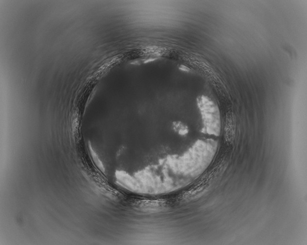 X0000112000314200908311119