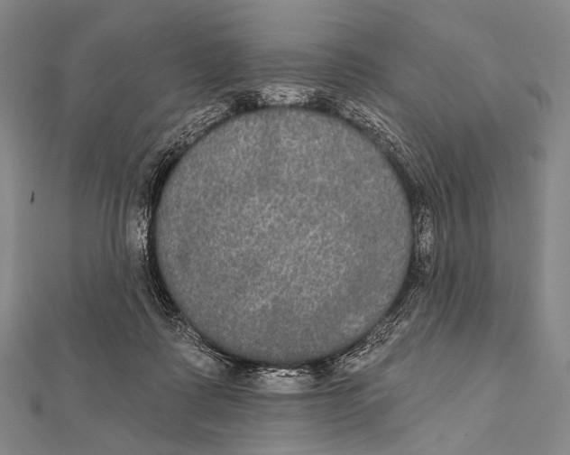 X0000112000315200908311119