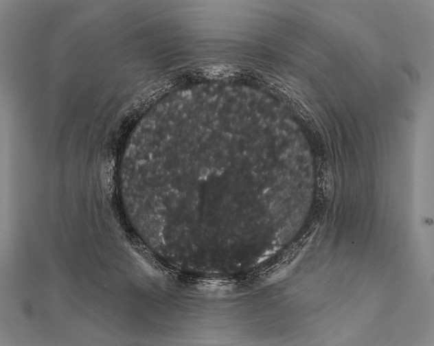 X0000112000319200908311119