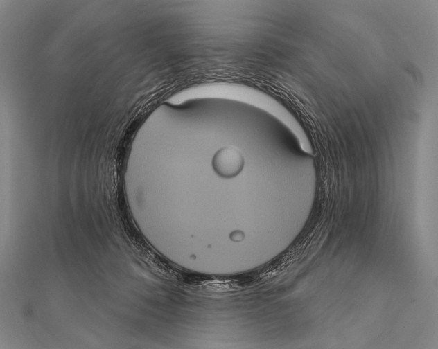 X0000112000320200908311119