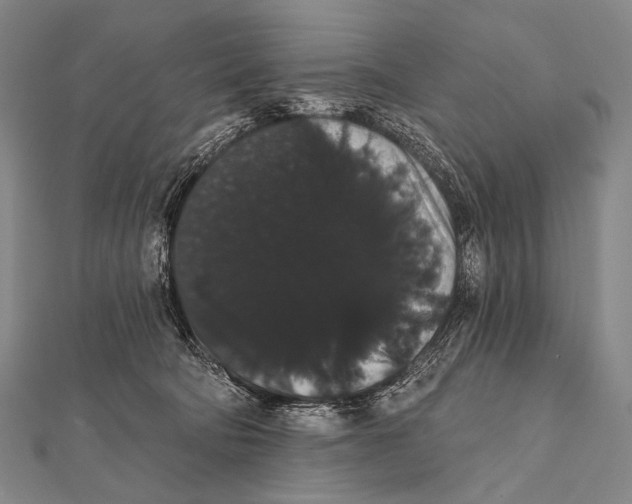 X0000112000322200908311119