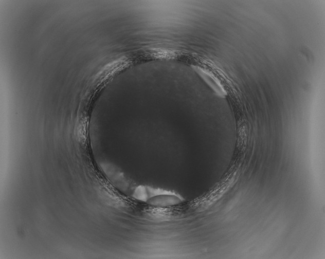 X0000112000325200908311119