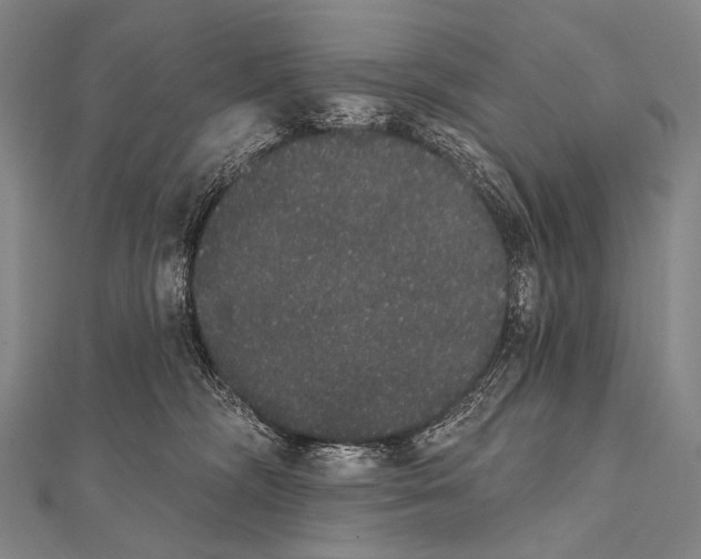 X0000112000326200908311119