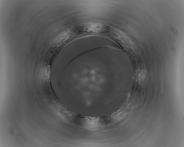 X0000112000328200908311119