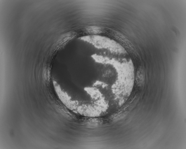 X0000112000330200908311119