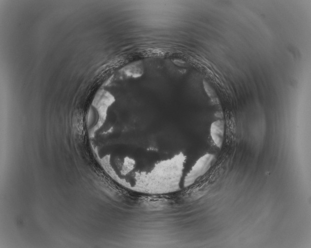 X0000112000331200908311119