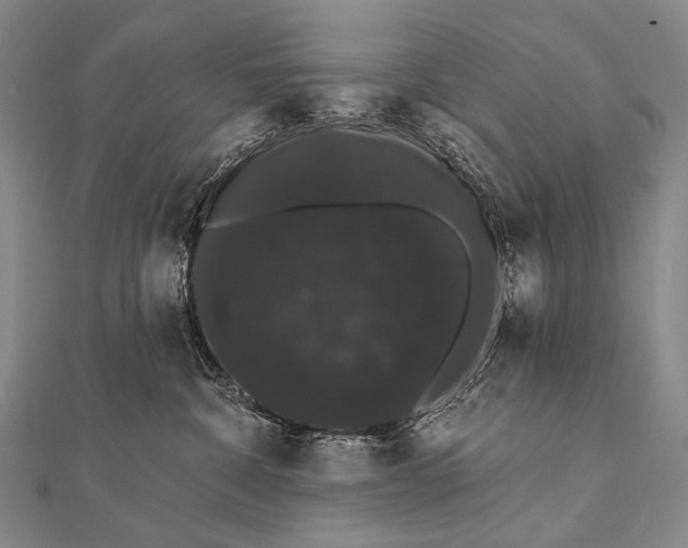 X0000112000332200908311119