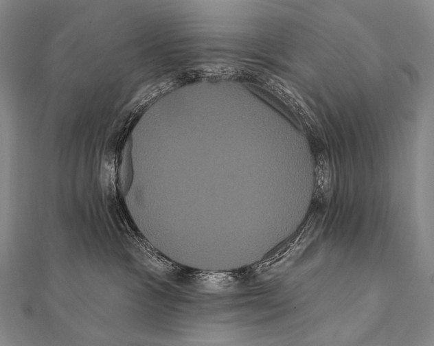 X0000112000333200908311119