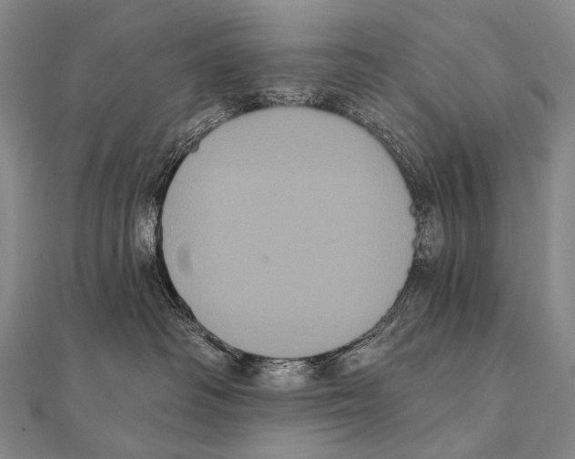 X0000112000334200908311119