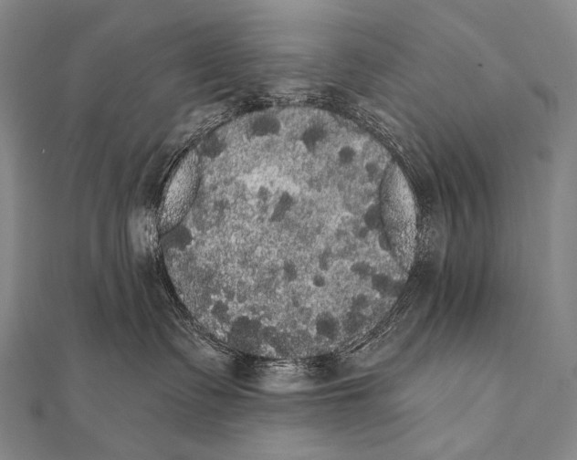 X0000112000335200908311119