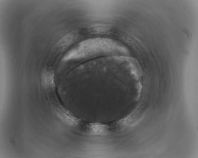 X0000112000336200908311119