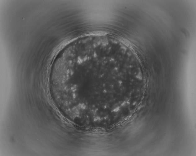 X0000112000337200908311118